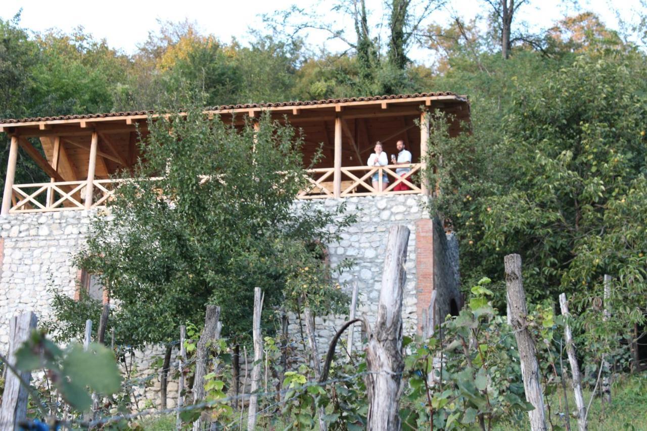 Sadmeli Winery Hotel Ambrolauri Exterior foto